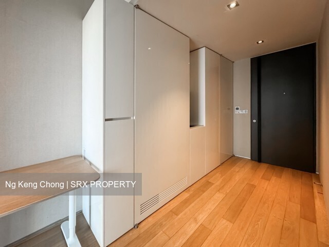 Skysuites@Anson (D2), Apartment #558185271
